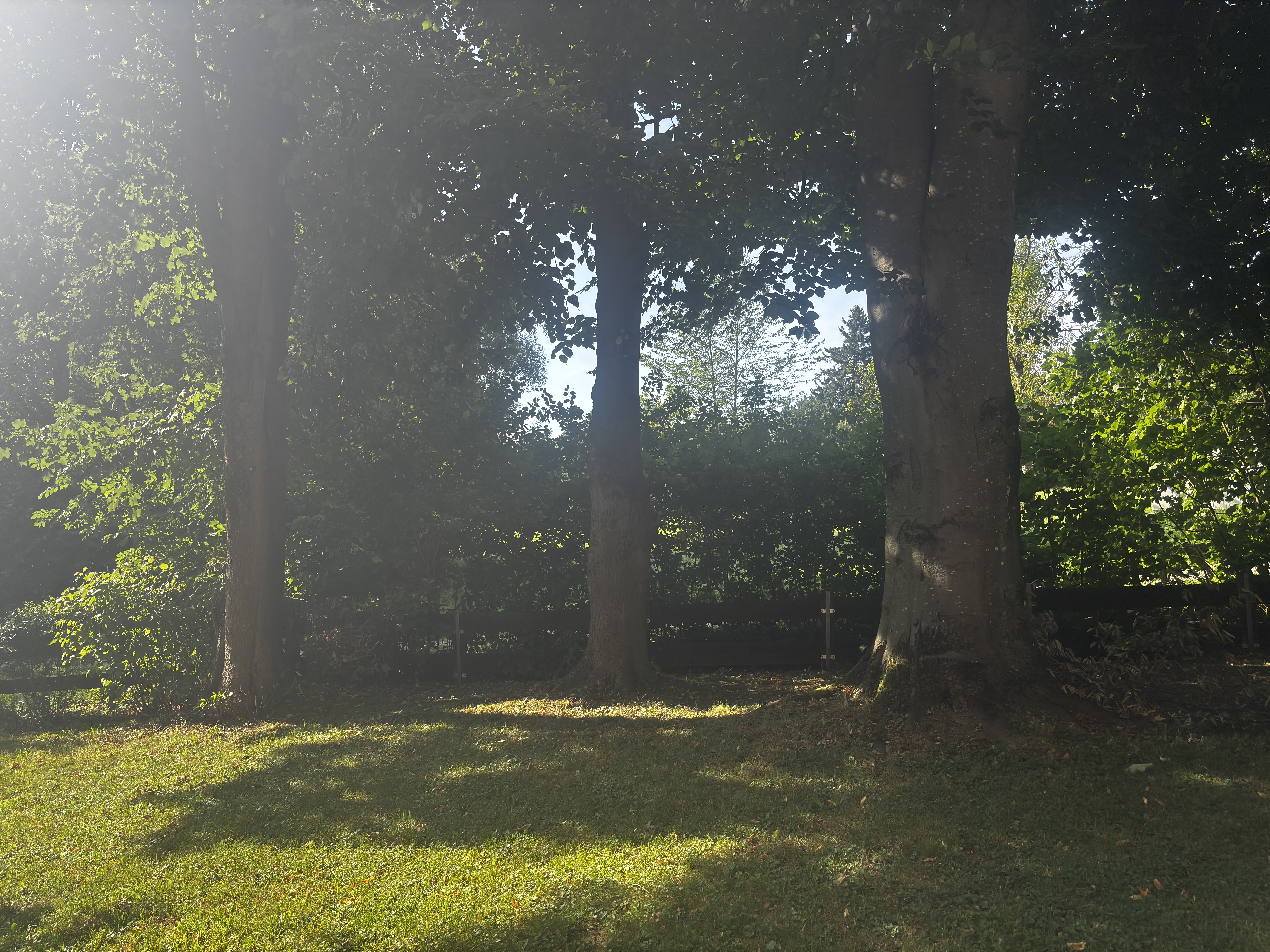 Garten Hintergrund 2
